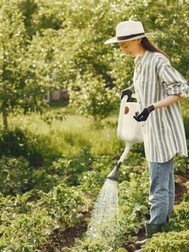 Avoid These 7 Watering Mistakes In Your Vegetable Garden